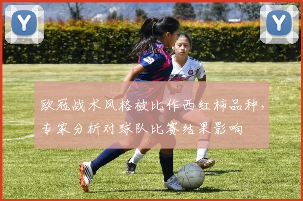 欧冠战术风格被比作西红柿品种，专家分析对球队比赛结果影响