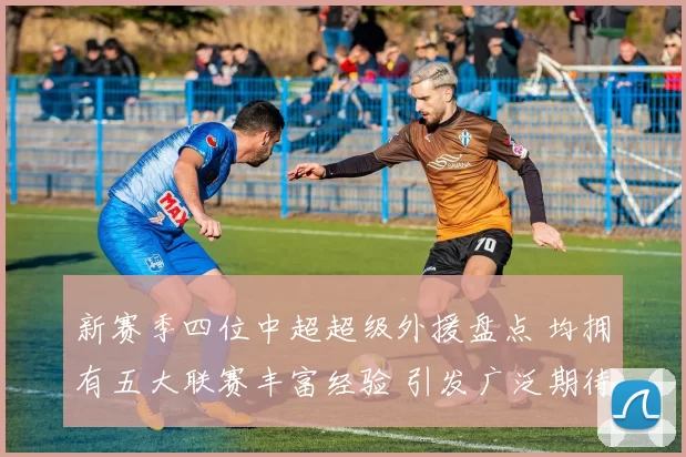 新赛季四位中超超级外援盘点 均拥有五大联赛丰富经验 引发广泛期待（下）_维奇_欧冠_里昂