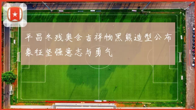 平昌冬残奥会吉祥物黑熊造型公布象征坚强意志与勇气